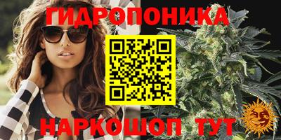 прущие крисы Абакан