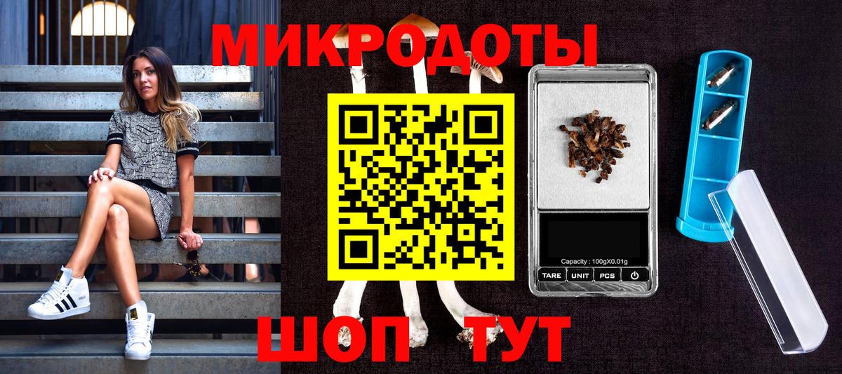 Псилоцибиновые грибы Cubensis  где можно купить   Артёмовский 