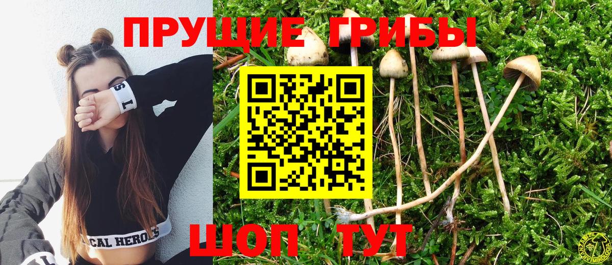 Псилоцибиновые грибы Cubensis  Псилоцибиновые грибы прущие грибы  закладки  Вход с VPN  Артёмовский 